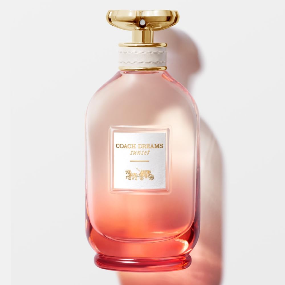 51MRzMhA2RL. AC SL1000