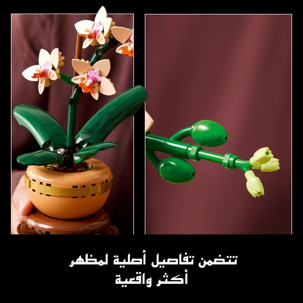 61RY7elIp8L. AC SL1000