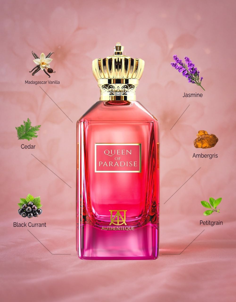 61d Ip+dvdL. AC SL1280