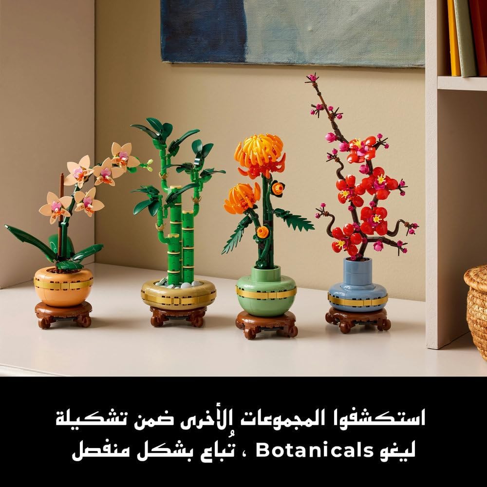 61eSgrqRNvL. AC SL1000