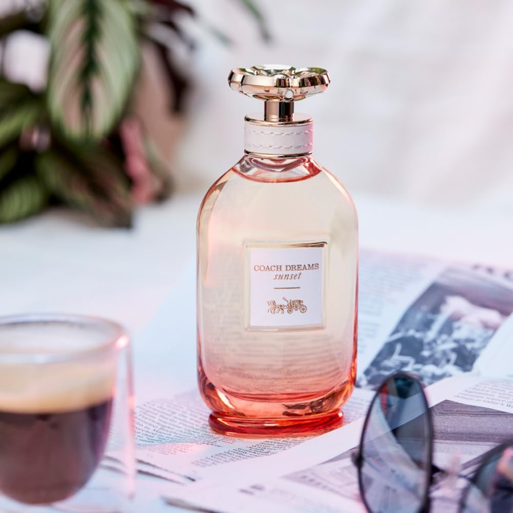 61ll2pS2eFL. AC SL1000