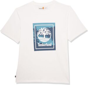 Timberland Mens TFO SS Graphic Logo TEES AND T-SHIRTS (pack of 1)