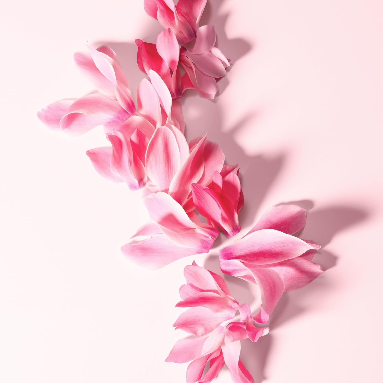 716PZGW1y7L. AC SL1500