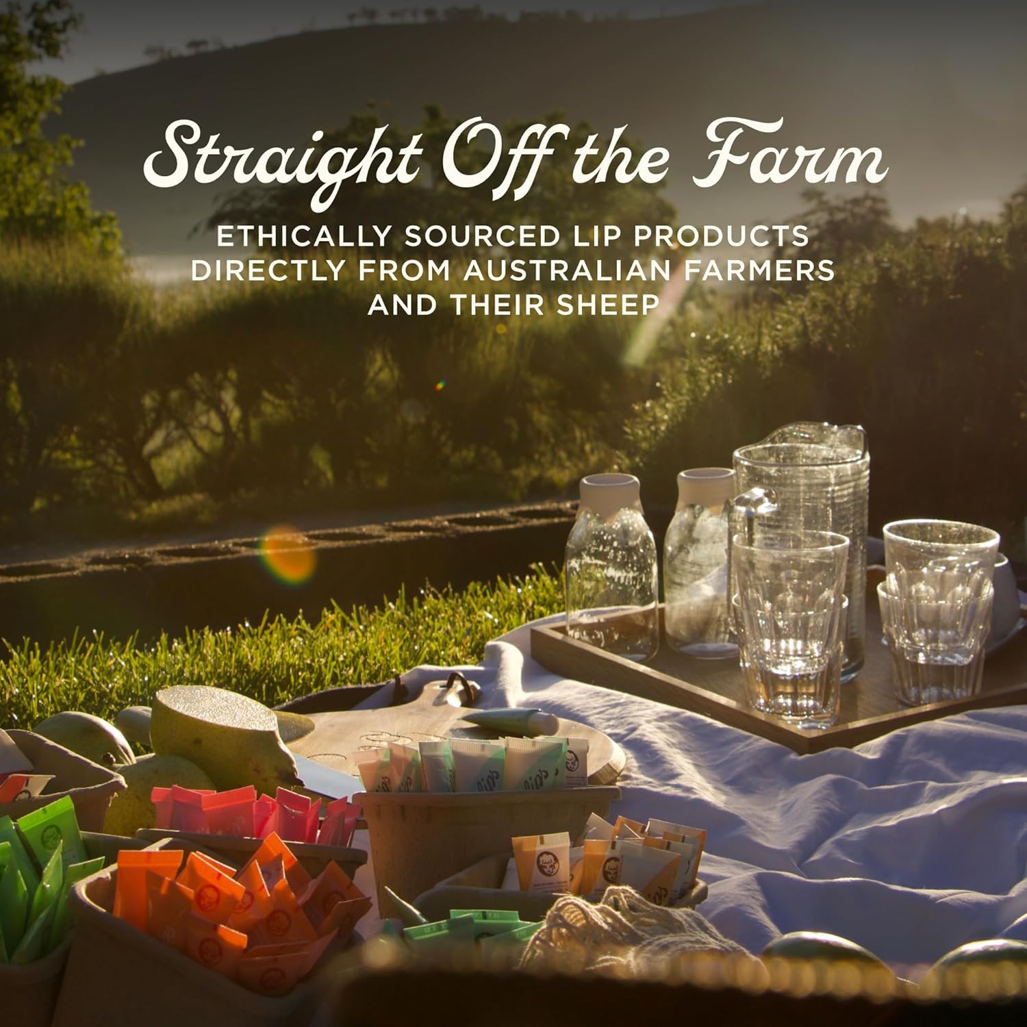 81MNoG2yXOL. AC SL1500