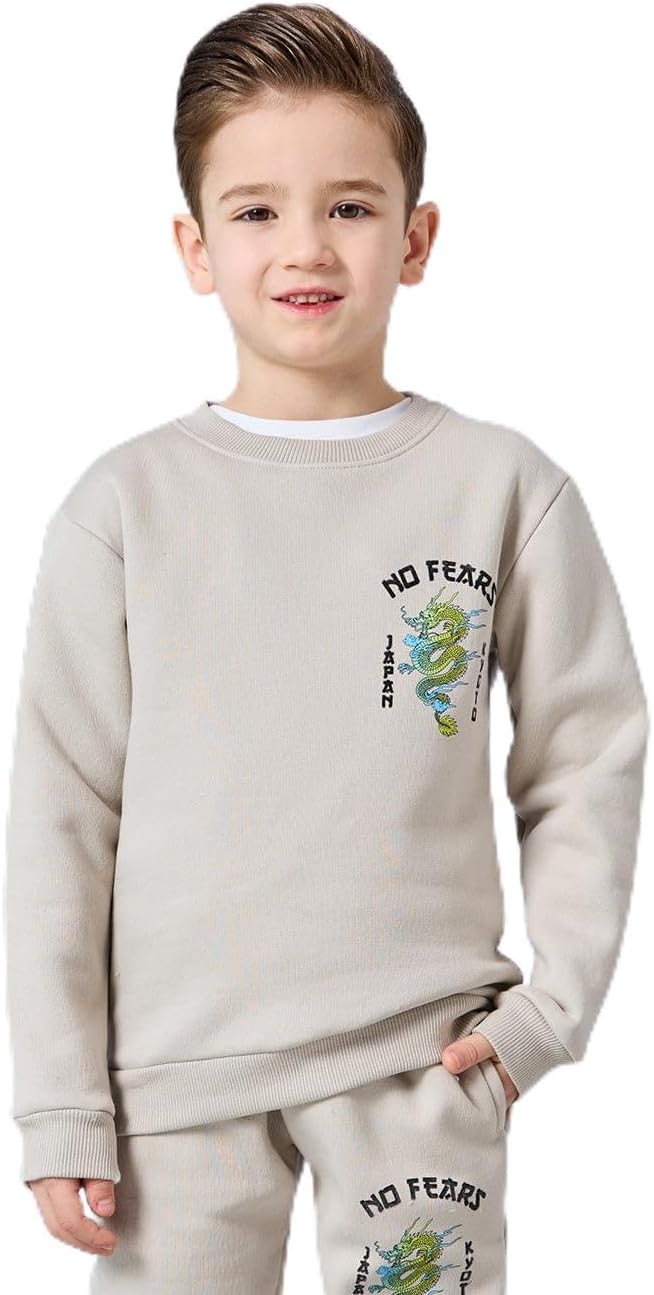 سويت شيرت مطرز اكرو للأولاد من ريد تاج 6 سويت شيرت مطرز اكرو للأولاد من ريد تاج