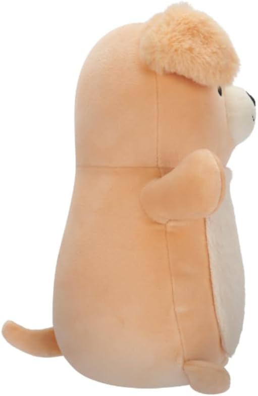 417akb8NylL. AC SL1000