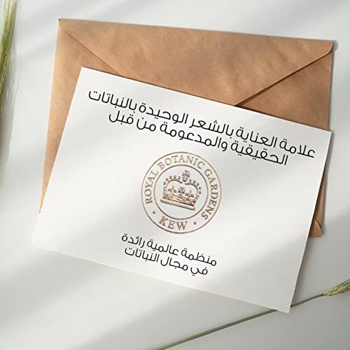 شامبو هيربل إسنسز بيو رينيو الطبيعي بزيت الأرغان المغربي لإصلاح الشعر، 400 مل