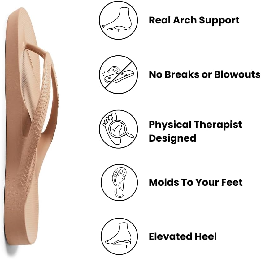 51B2FunlVsL. AC SL1000