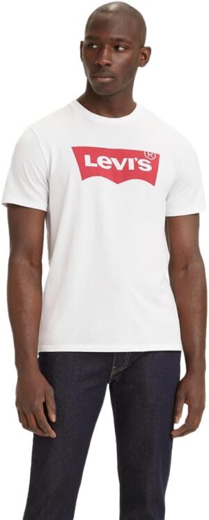 Levi's mens GRAPHIC SET-IN NECK T-Shirt (pack of 1)