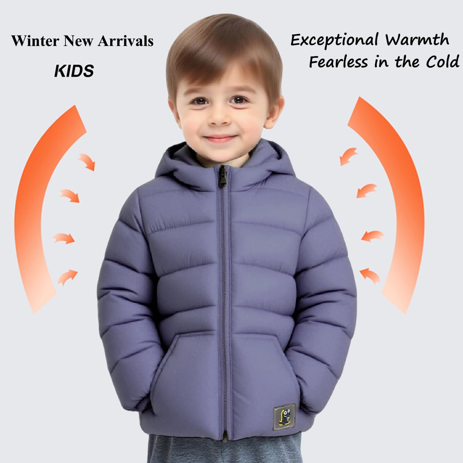 61pJDIWN5ML. AC SL1500