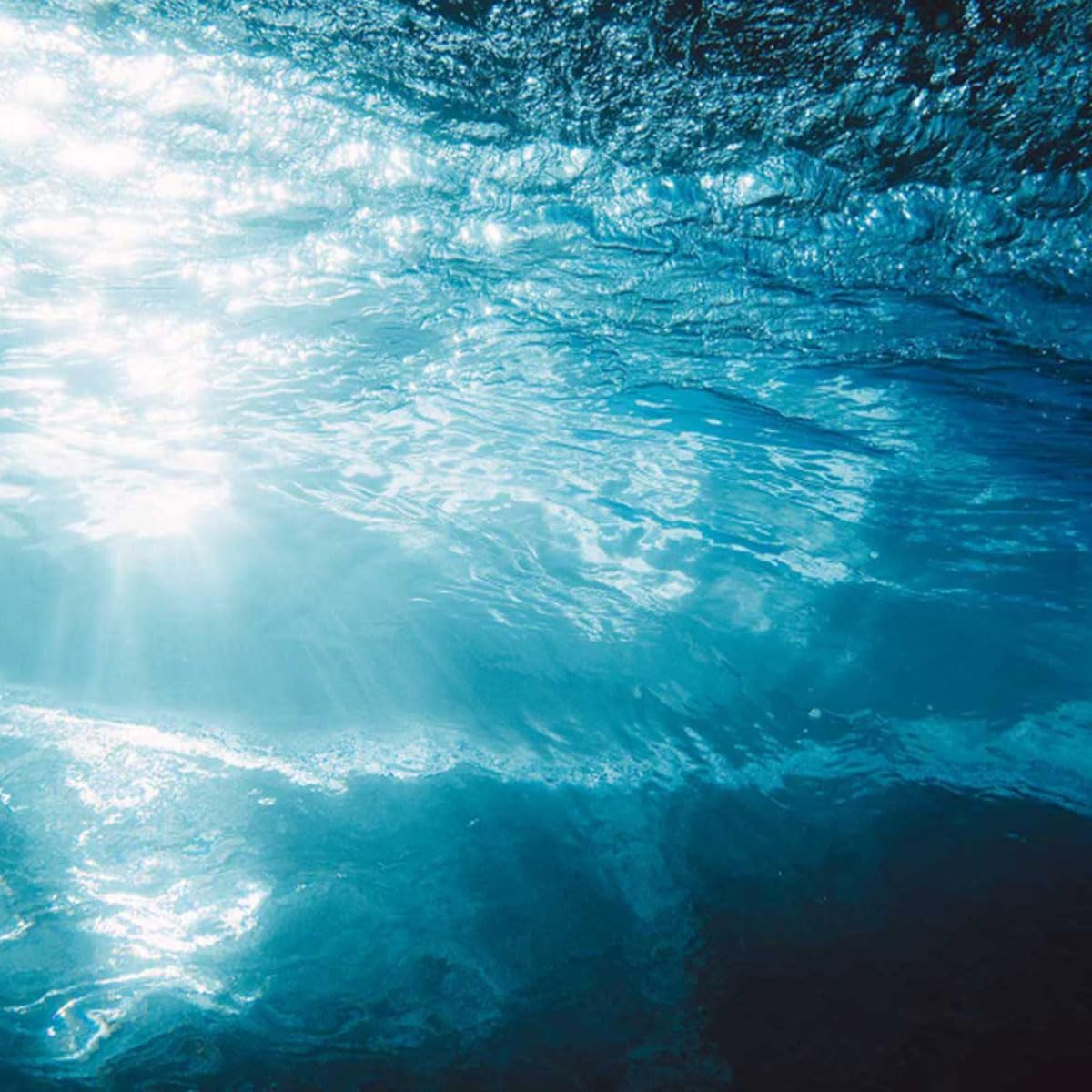 رالف لورين بولو دييب بلو للرجال 125 مل 16 71G5cAsjz2L. AC SL1200