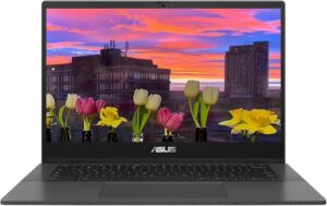 ASUS Chromebook CM1402 Laptop, 14” FHD (1920 x 1080) LED Display, MediaTek Kompanio 520, 8-Core, 4GB RAM, 64GB eMMC, Chrome OS, Gravity Gray, TWE 64GB Micro SD Card