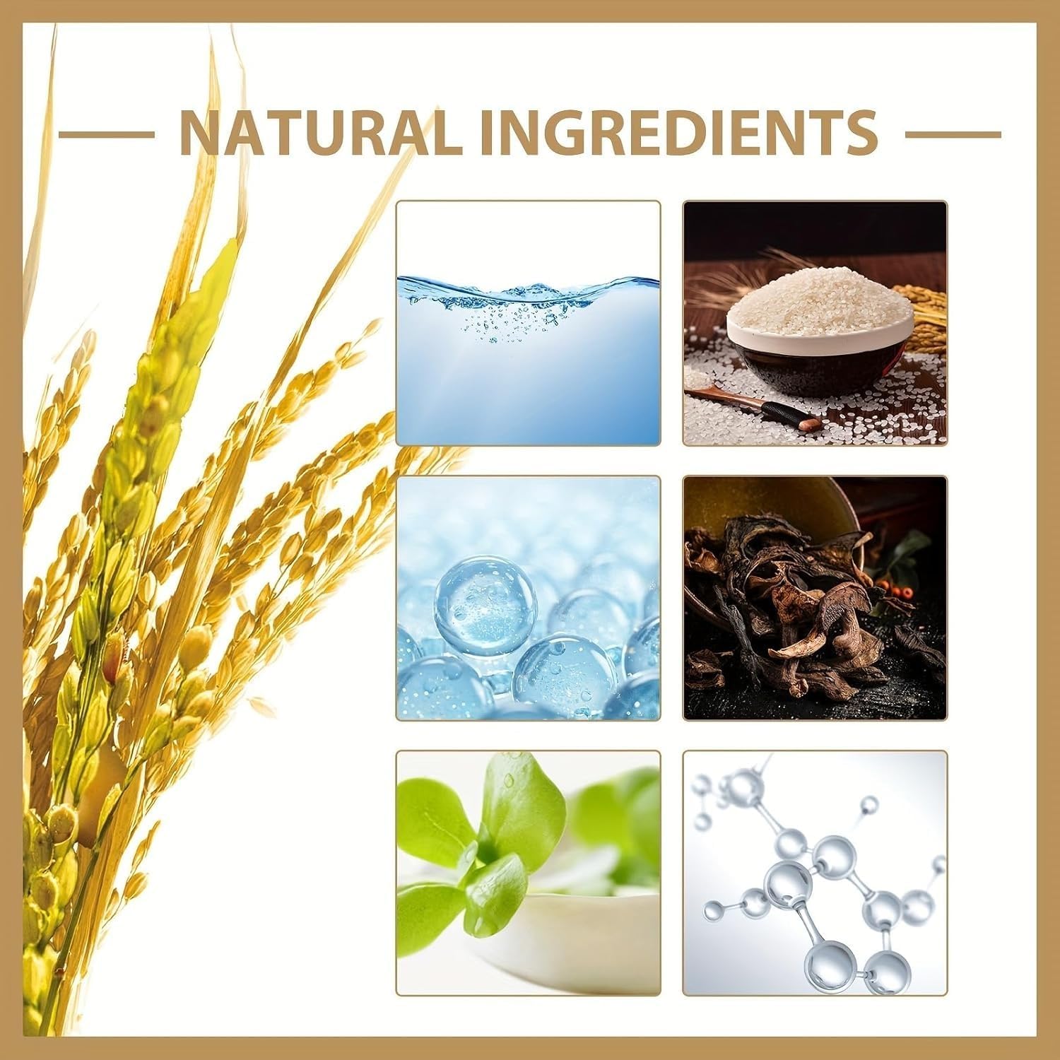 71YEwQdfyuL. AC SL1500