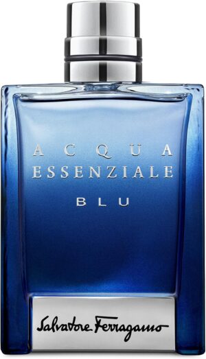 عطر للرجال سلفاتوري فيراغامو اكوا ايسينزيالى بلو او دي تواليت 100ml، 100.0 ملليلتر