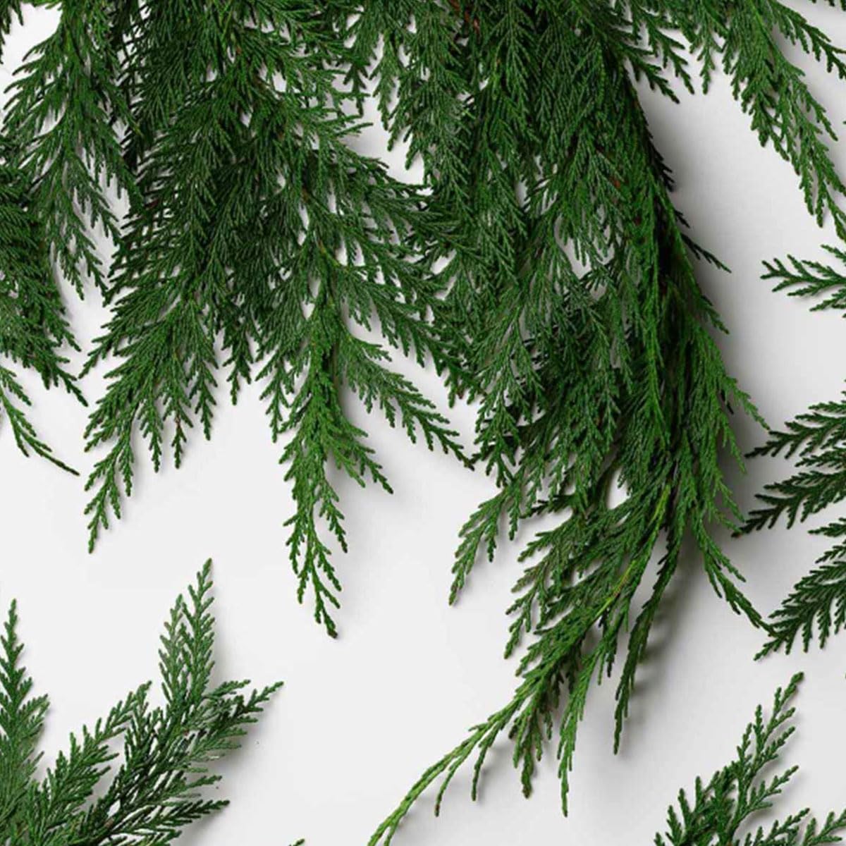 رالف لورين بولو دييب بلو للرجال 125 مل 15