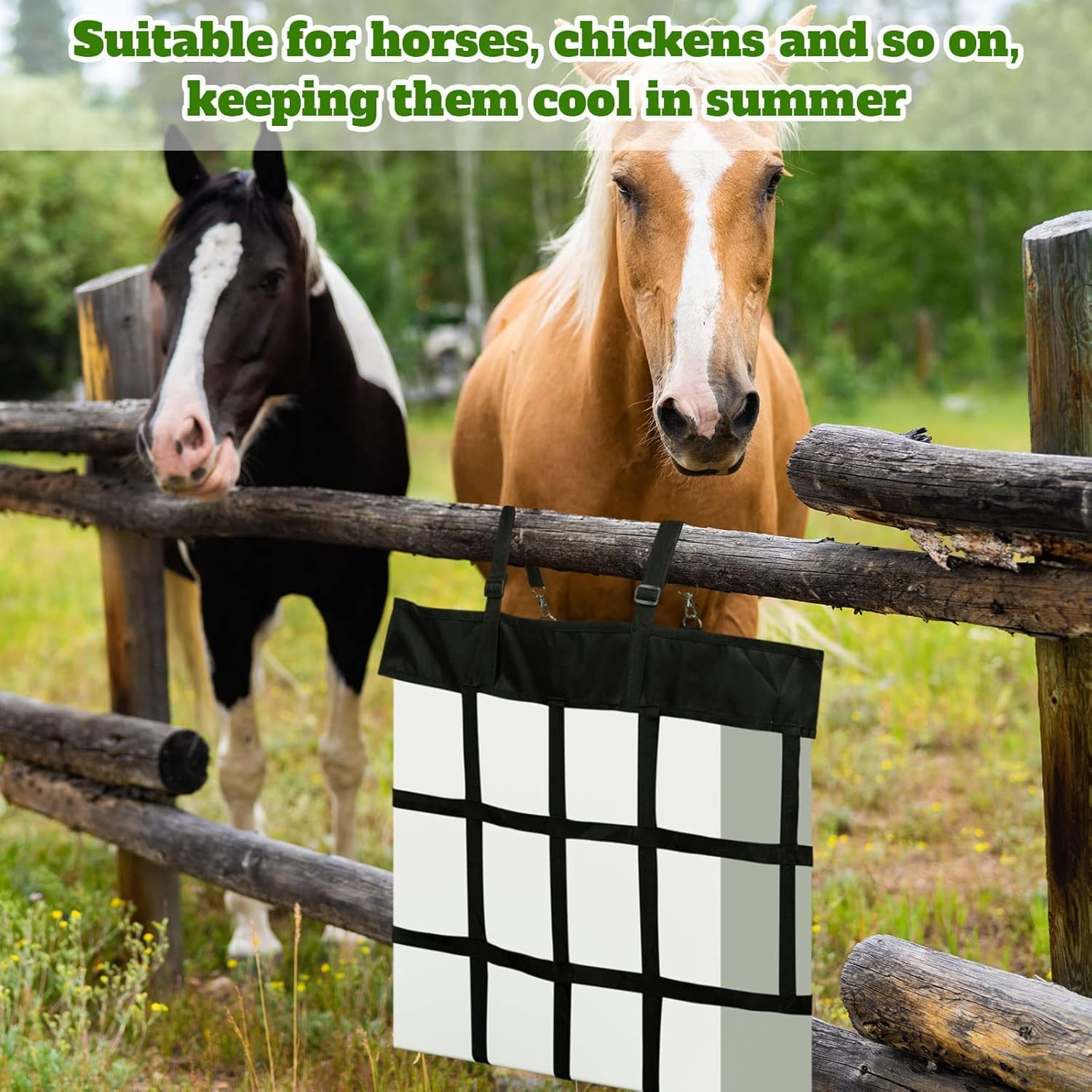 71s o8mIcqL. AC SL1500