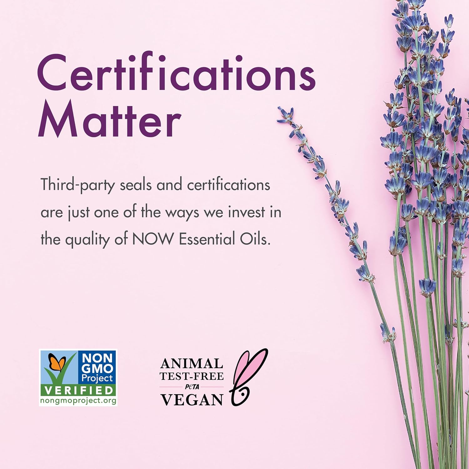 81Ca38JpSML. AC SL1500