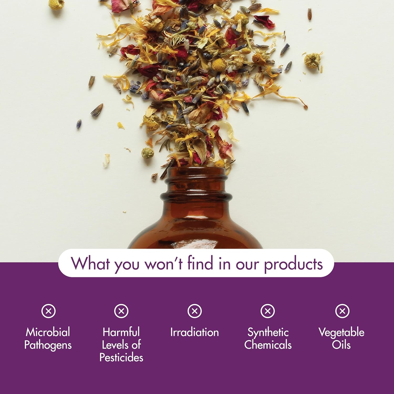 81E9mVfsgBL. AC SL1500