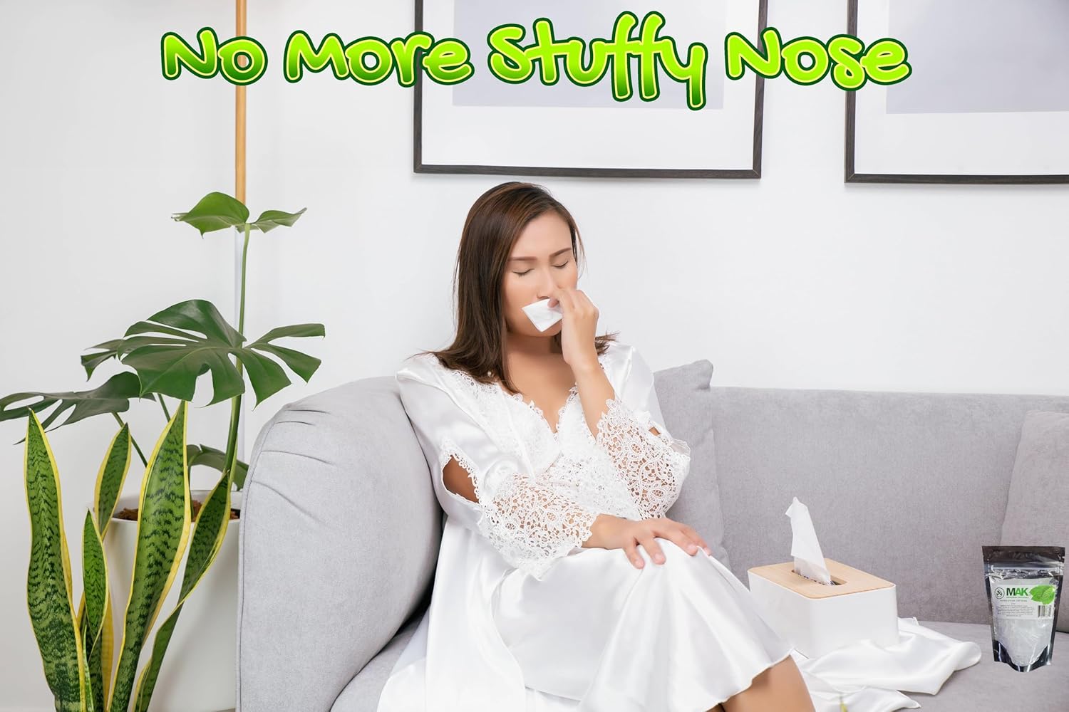 81pdvlWZiYL. AC SL1500