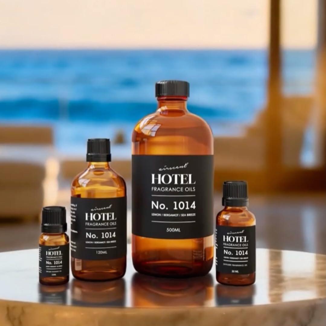 61jentPn2BL. AC SL1079