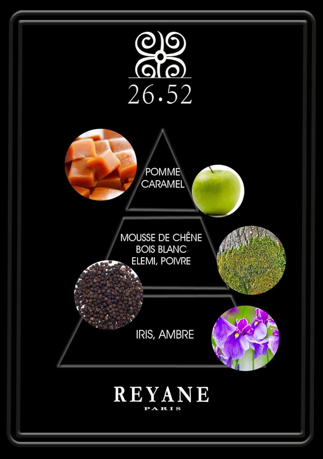 عطر 26.52 او دي بارفان من ريان تراديشن، للذكر، 100.0 ملليلتر 2 عطر 26.52 او دي بارفان من ريان تراديشن، للذكر، 100.0 ملليلتر - الصورة 2